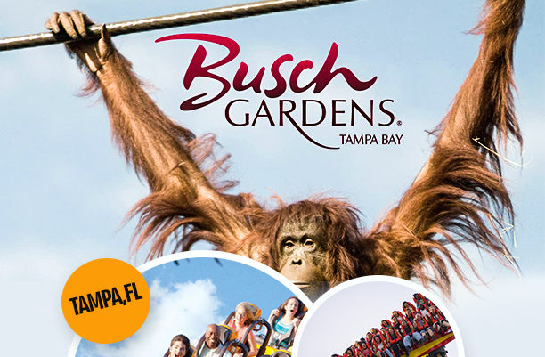 Busch Gardens